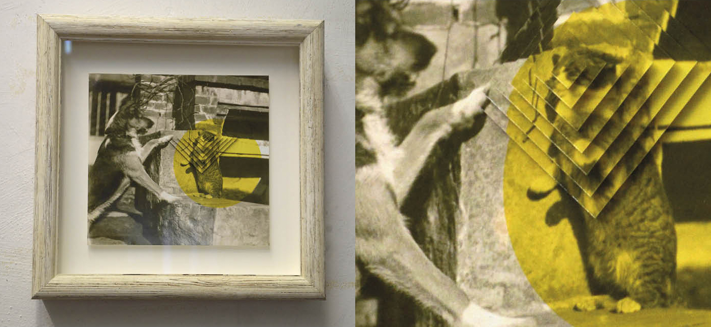 Lumpi VS Peter 2014 - cm. 37,5x38