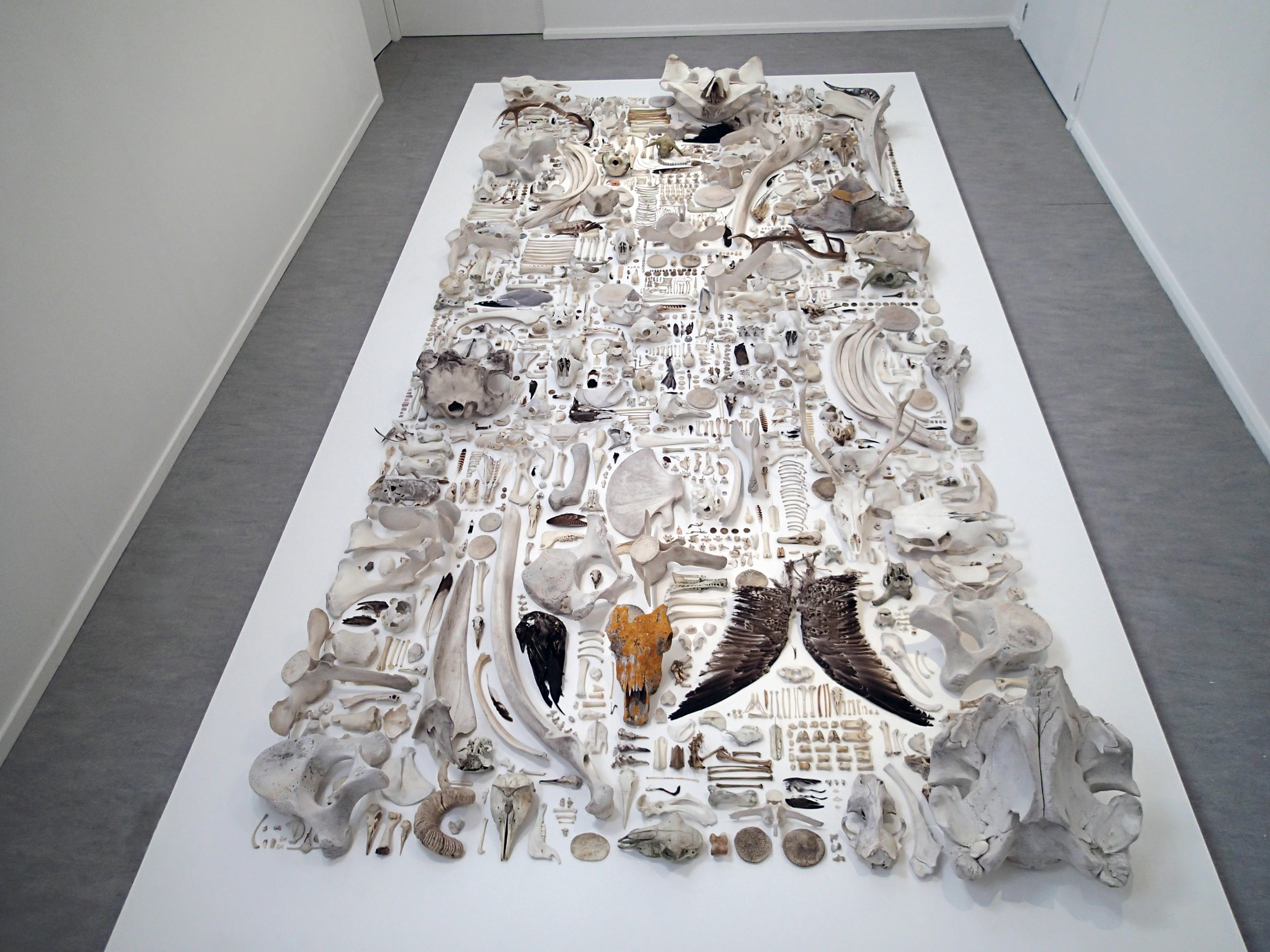 'Biomass (NU20072014)', 2015, Viewed from above.