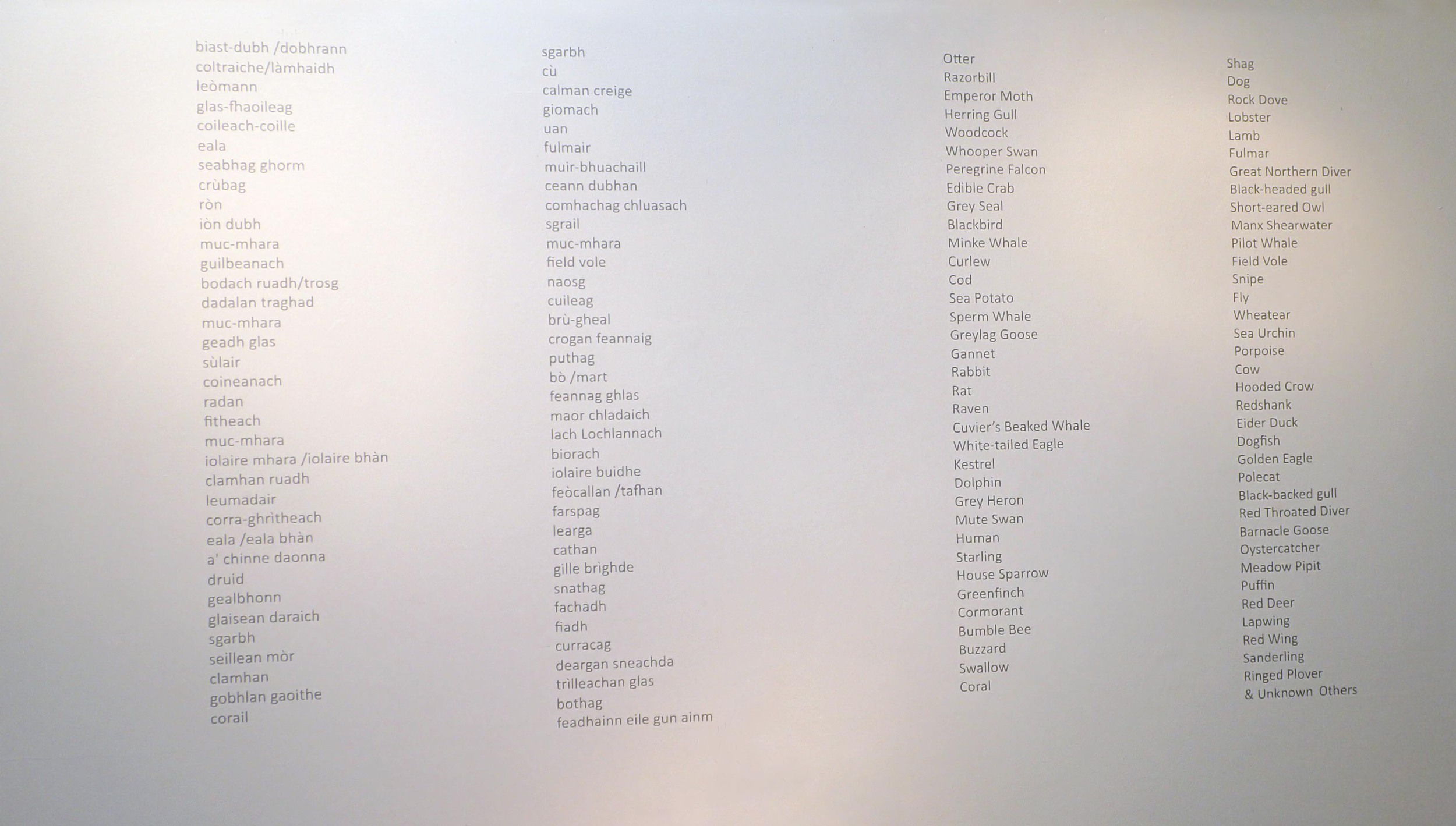 'Critter List', Vinyl wall text, detailing in Gaelic & English, animals in the array. (out with the gallery).
