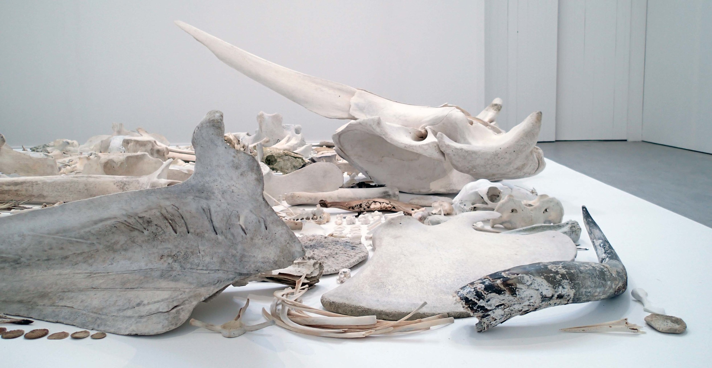 'Biomass (NU20072014)', 2015, Detail (v).