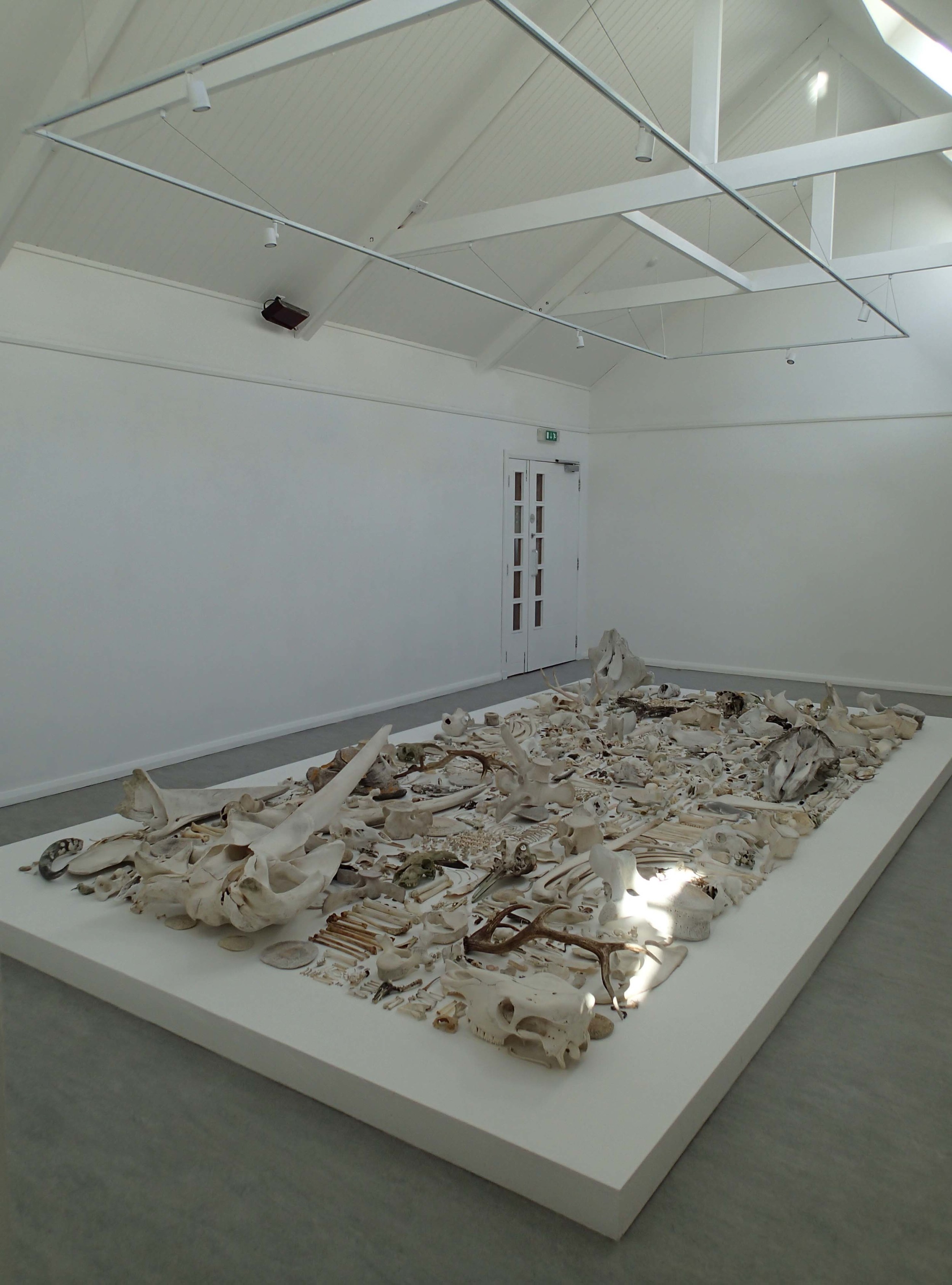 'Biomass (NU20072014)', 2015 (view from rear of gallery).
