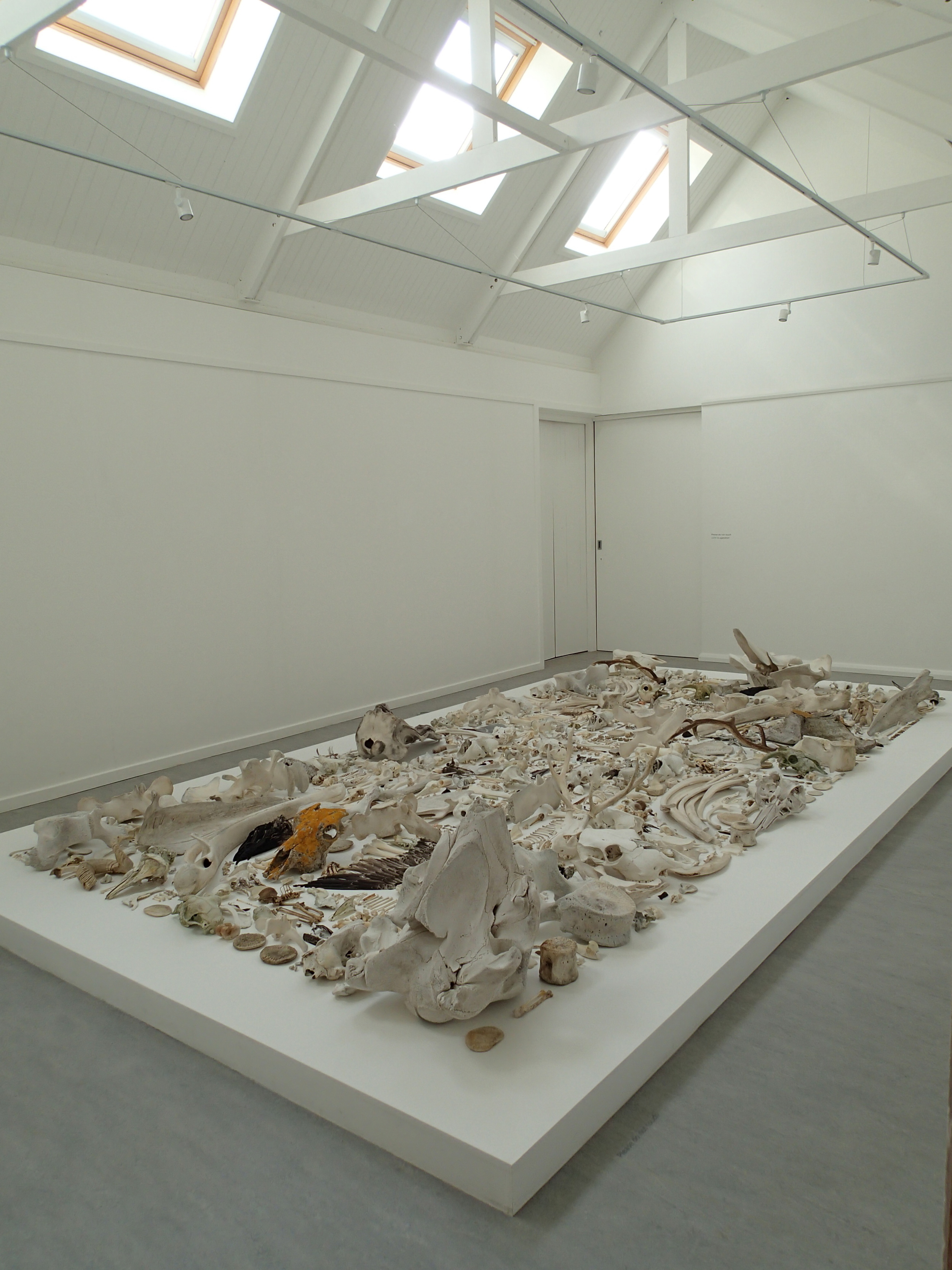 'Biomass (NU20072014)', 2015. Gallery view.