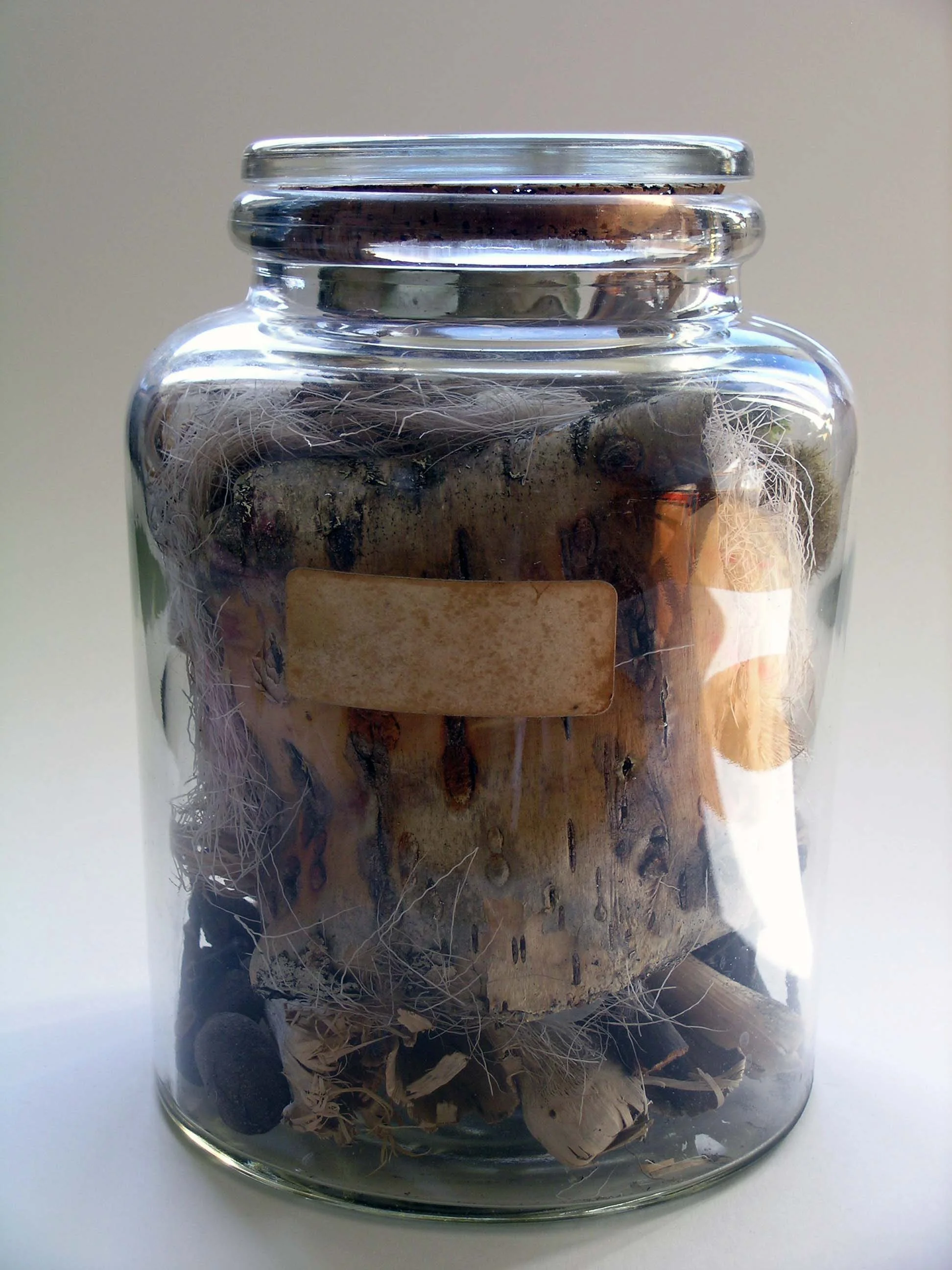 Souvenir jar (front view), Mixed natural objects, specimen jar, 2002