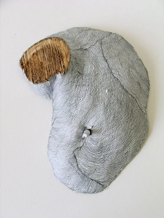 Residual Landscapes (ii) (front view), Pine off cut, gesso & pencil, 2004