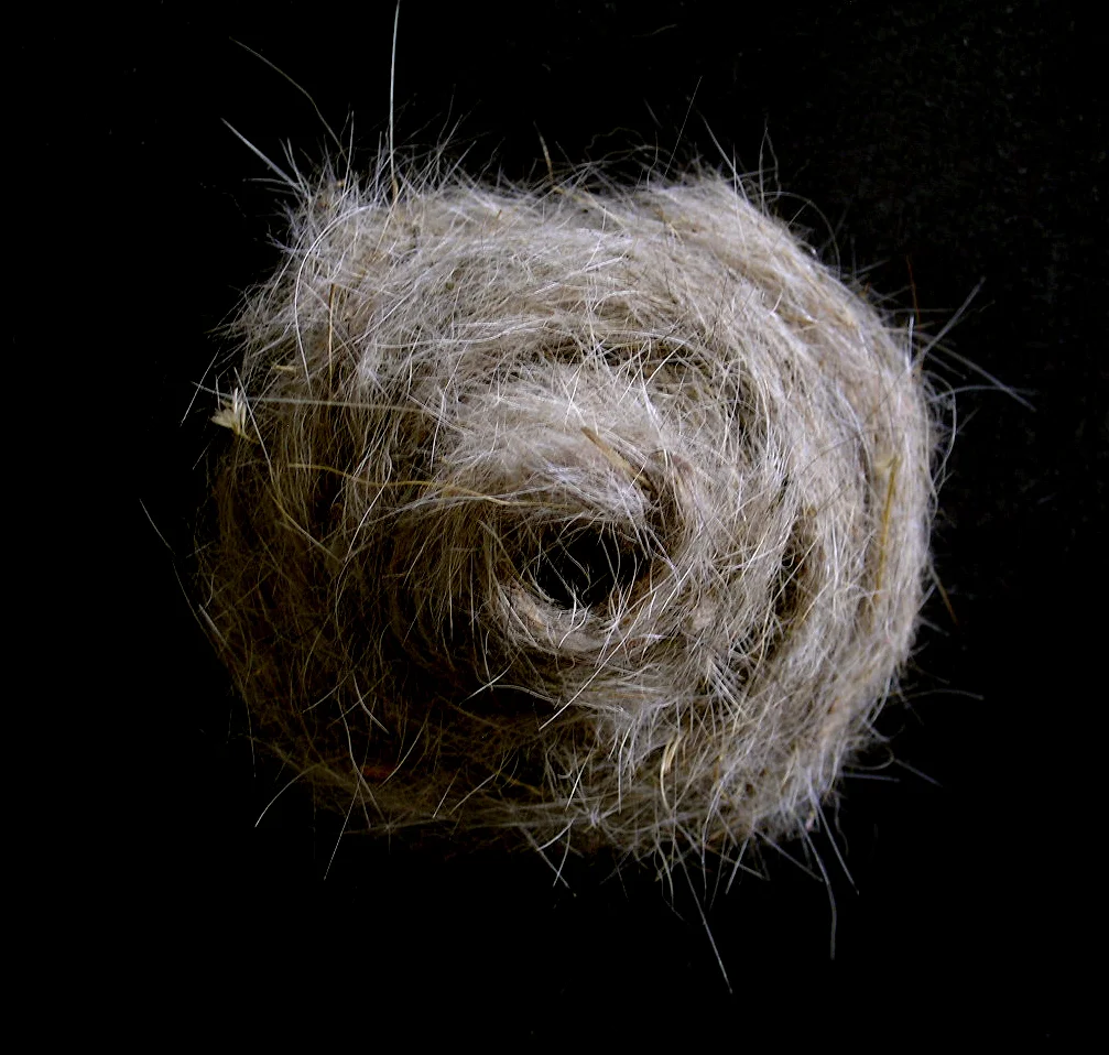Spiral Cast dog hair, 2004