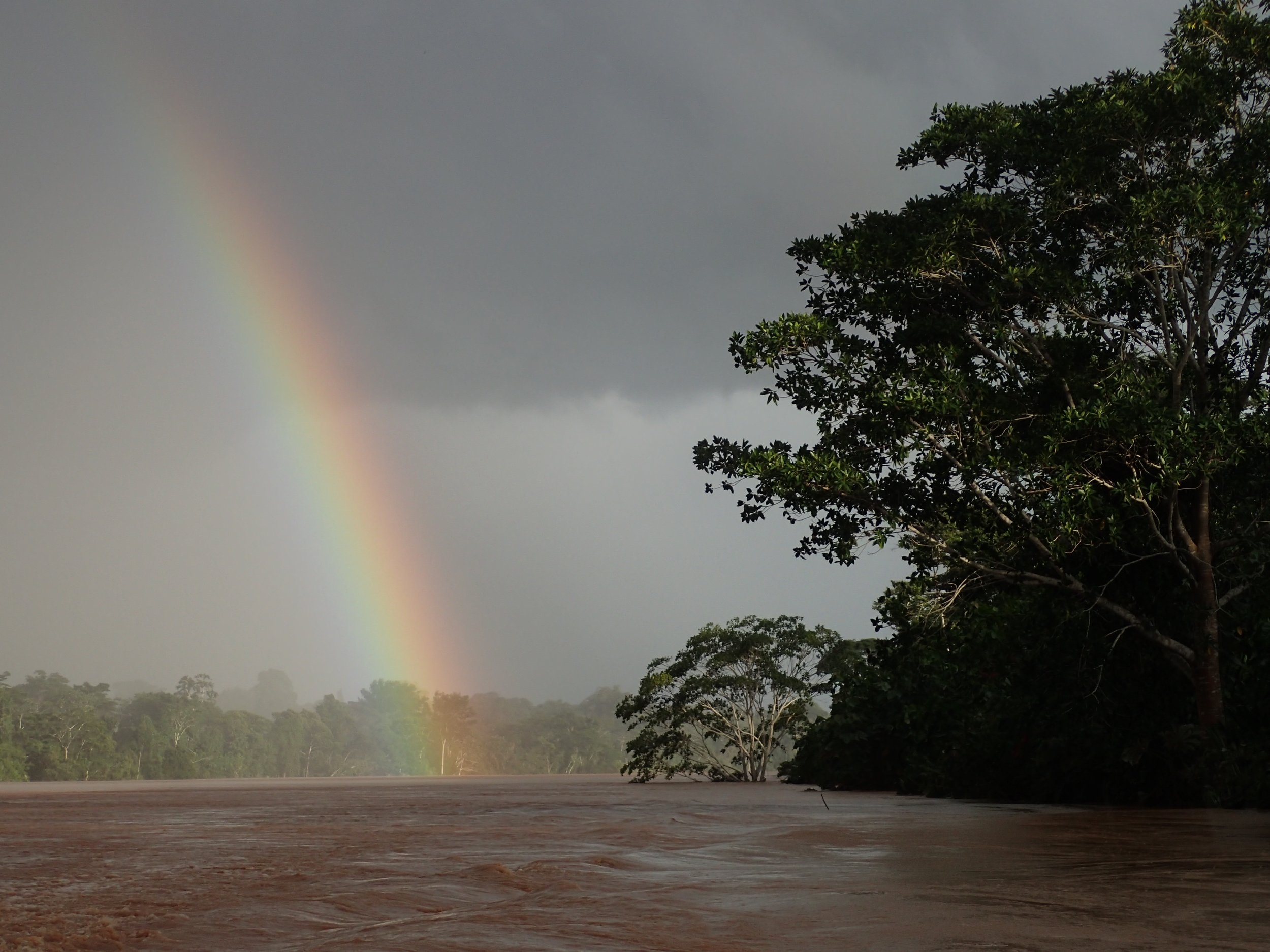 Rainbow over the Tambopata river