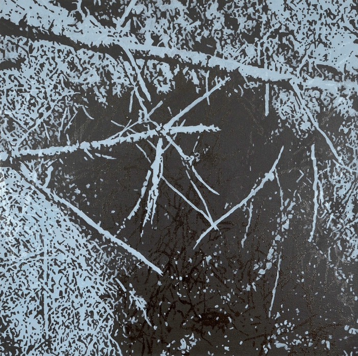 At the Wallow, 2015