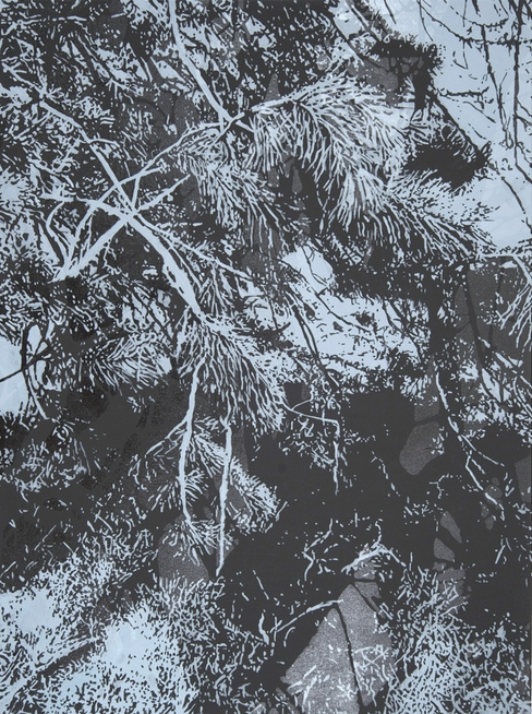 Antler Thrash (i), 2015