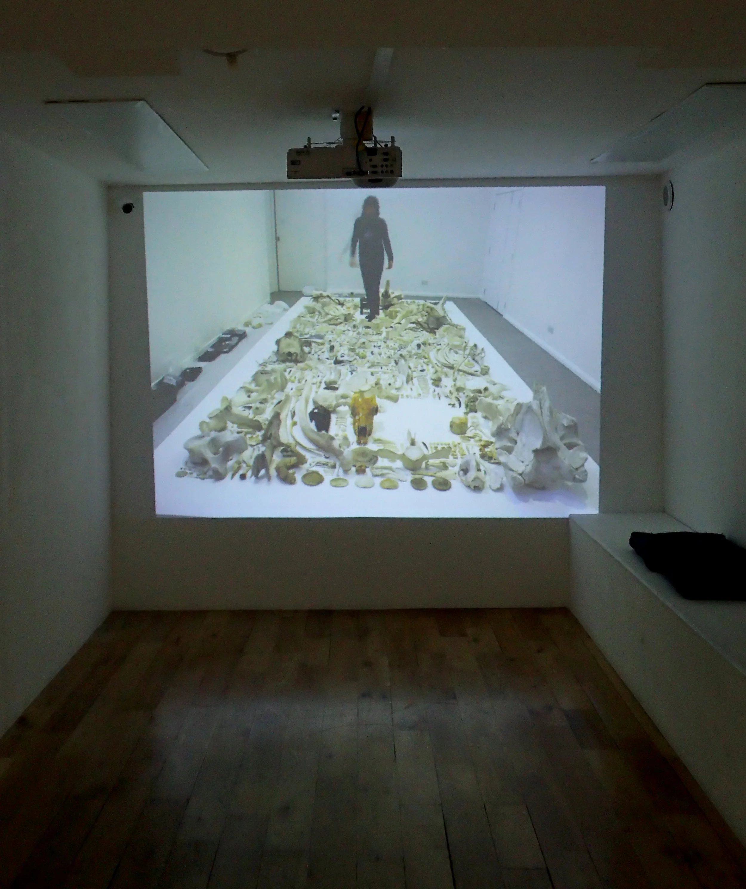 ‘The making of ‘Biomass’