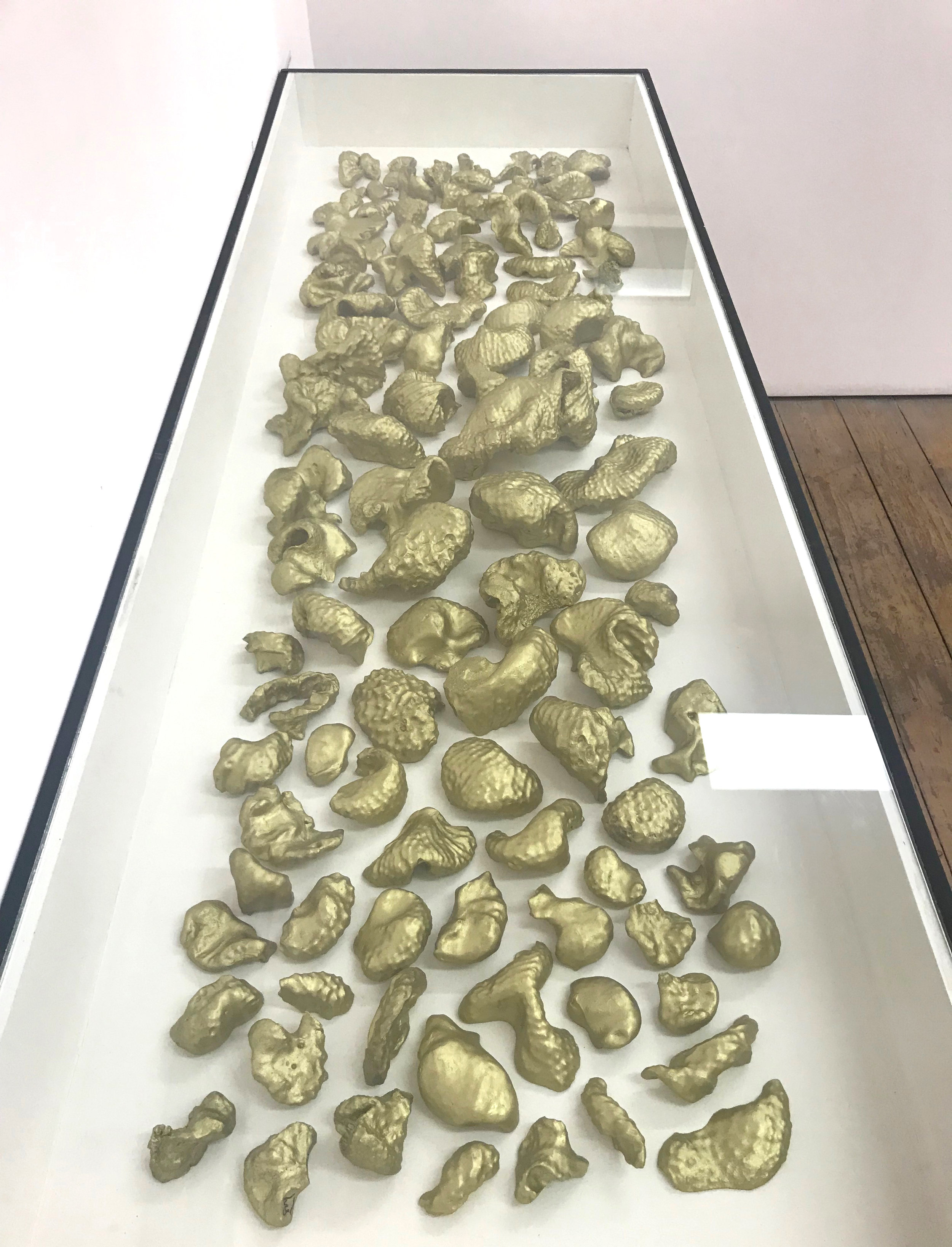   Sea-formed, 2017                                                                                  120, Gold painted casts of Kelp holdfasts                                                      Dimensions variable    