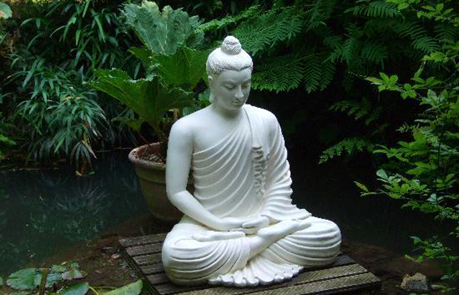 BuddhaHealth.jpeg