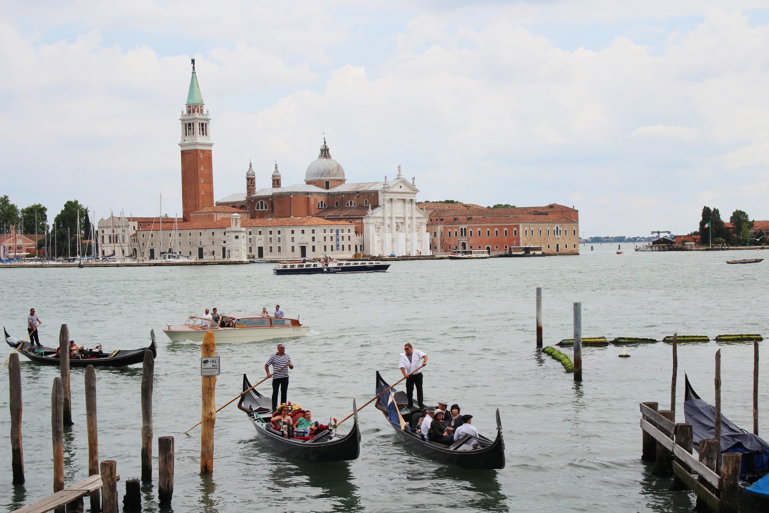 IMG_4176.jpg