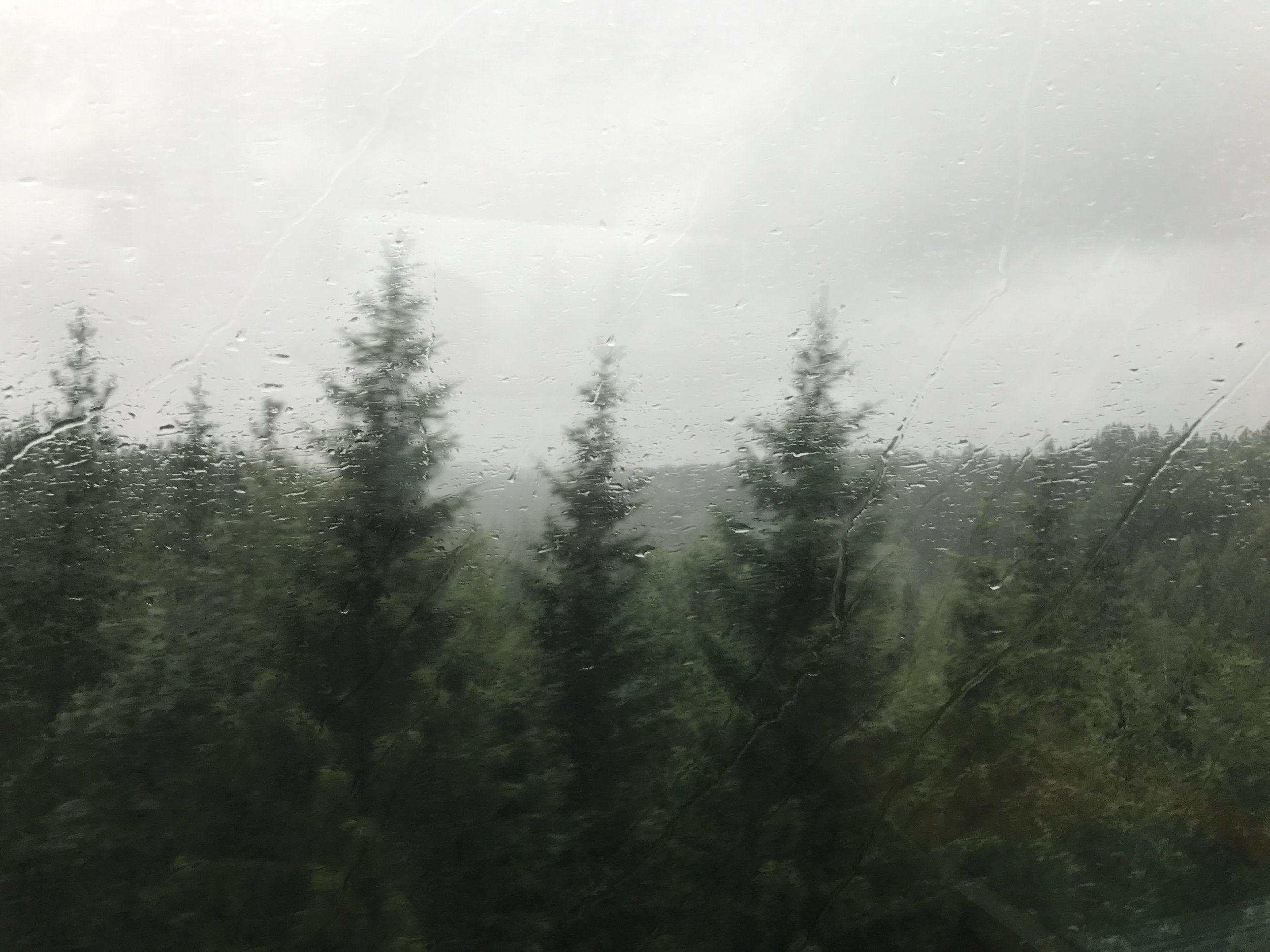 2017-08-09_14-38-57_476.jpeg