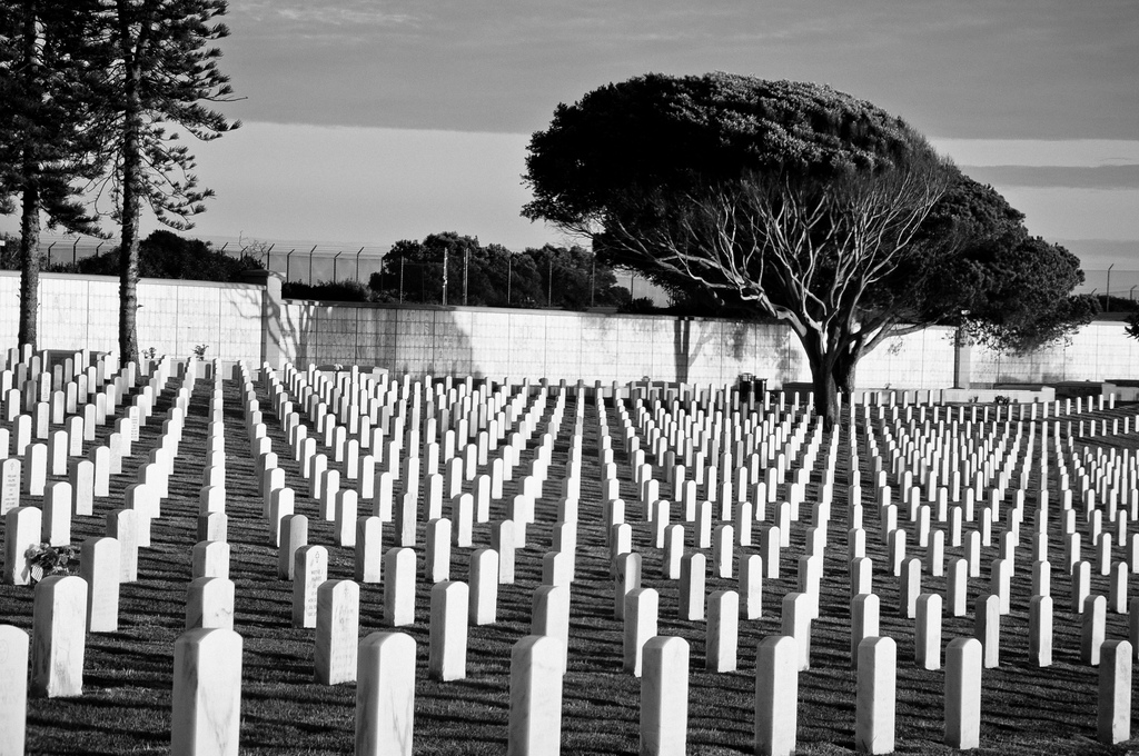 Moiré in the boneyard