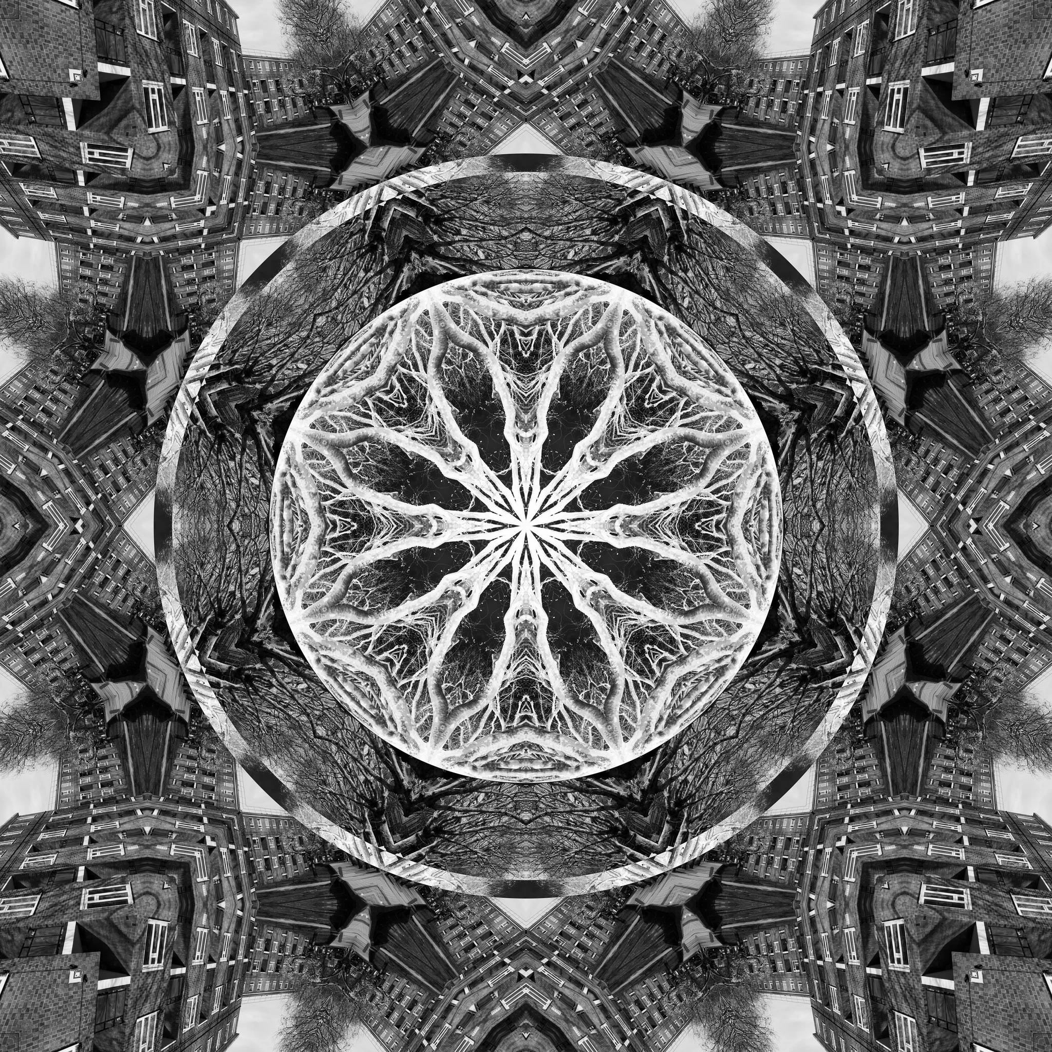 26767489453_c5ffce72eb_k.jpg