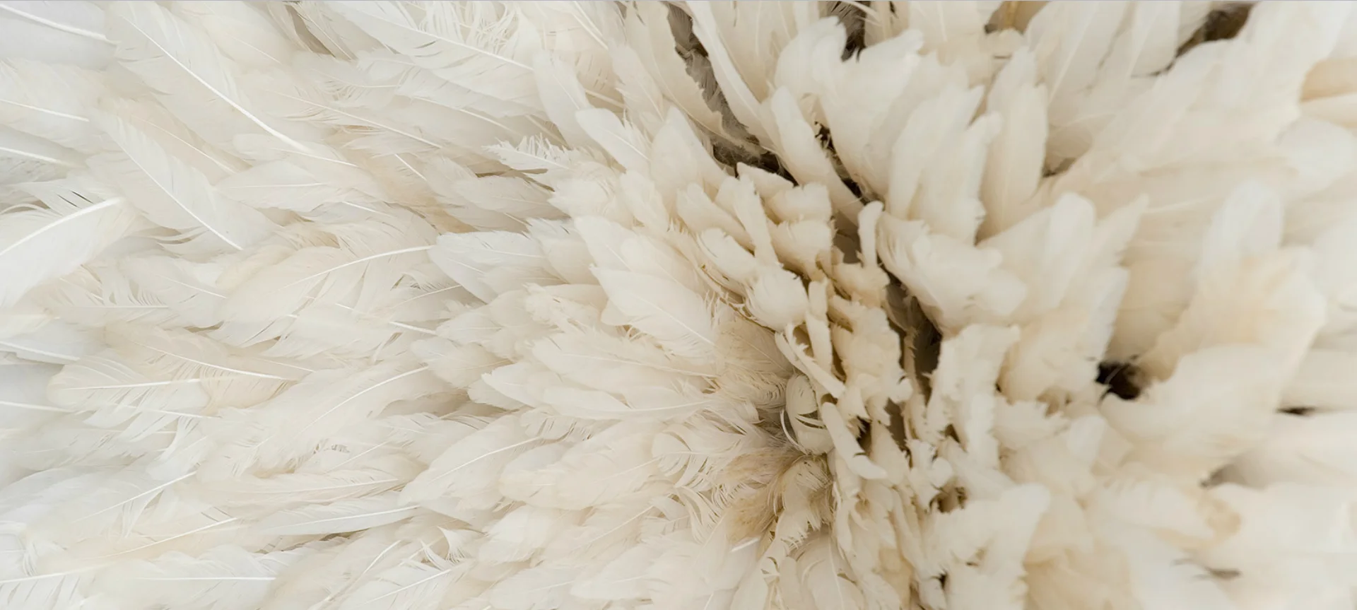 Chicken Little's Sky