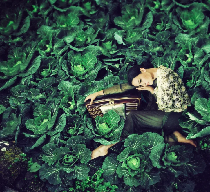 Music as Winter's Warm Garden