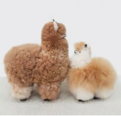 Latierra Plush.png