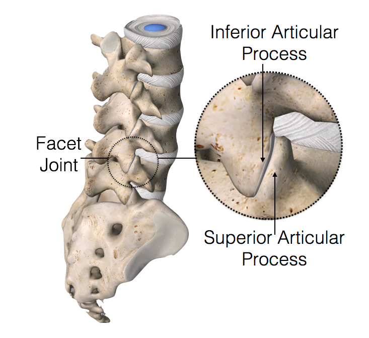 Facetjoint.jpg