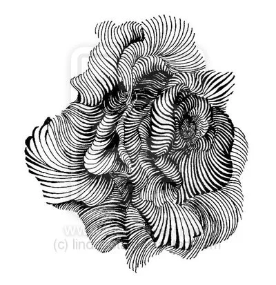 in_full_bloom_by_lindacota-d3gtnj6.jpg