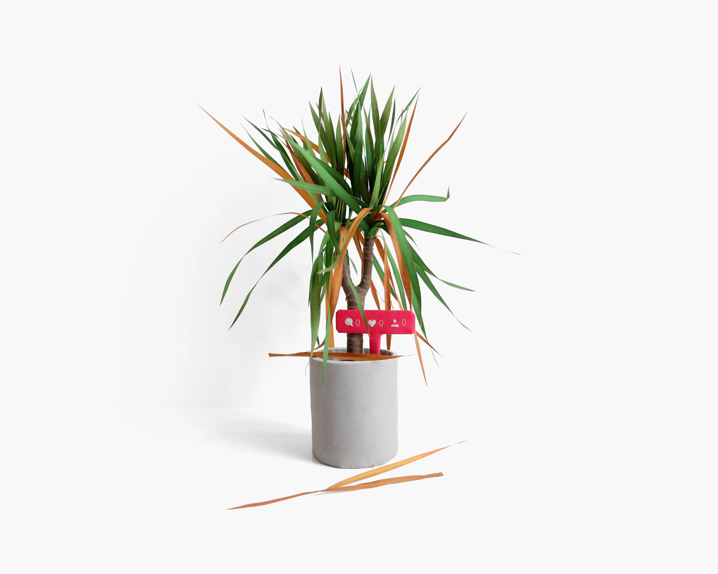 Dracaena Introverta Hardwood dowel, foam, armature wire, felt, cotton cloth, fabric marker, embroidery floss, FrayCheck Approximately 15 x 10 x 10 in 2018