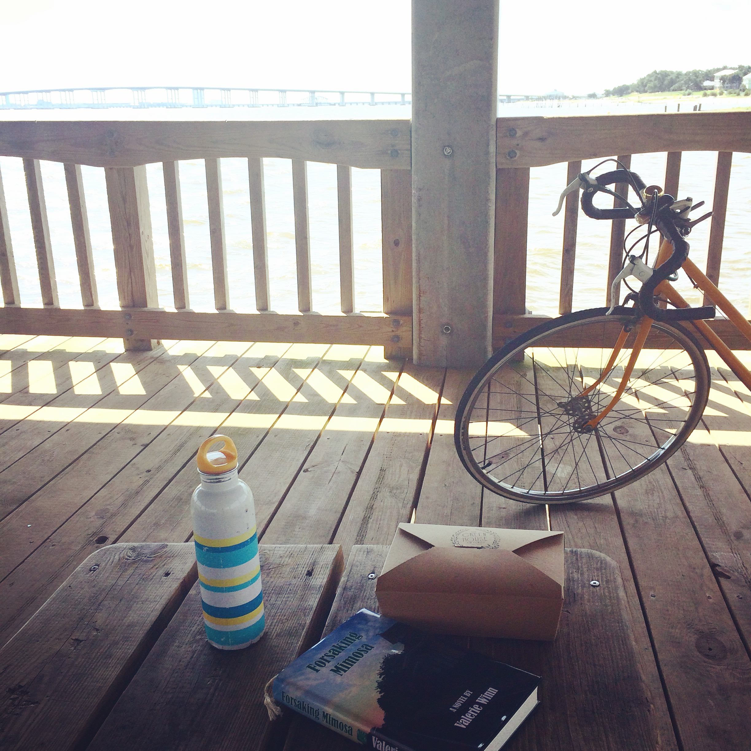 I finished reading Forsaking Mimosa while sitting on a pier on East Beach eating a snack box! 