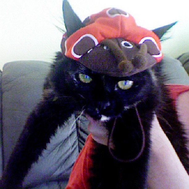 Penny Lane enjoying every thing about the ladybug on her head!