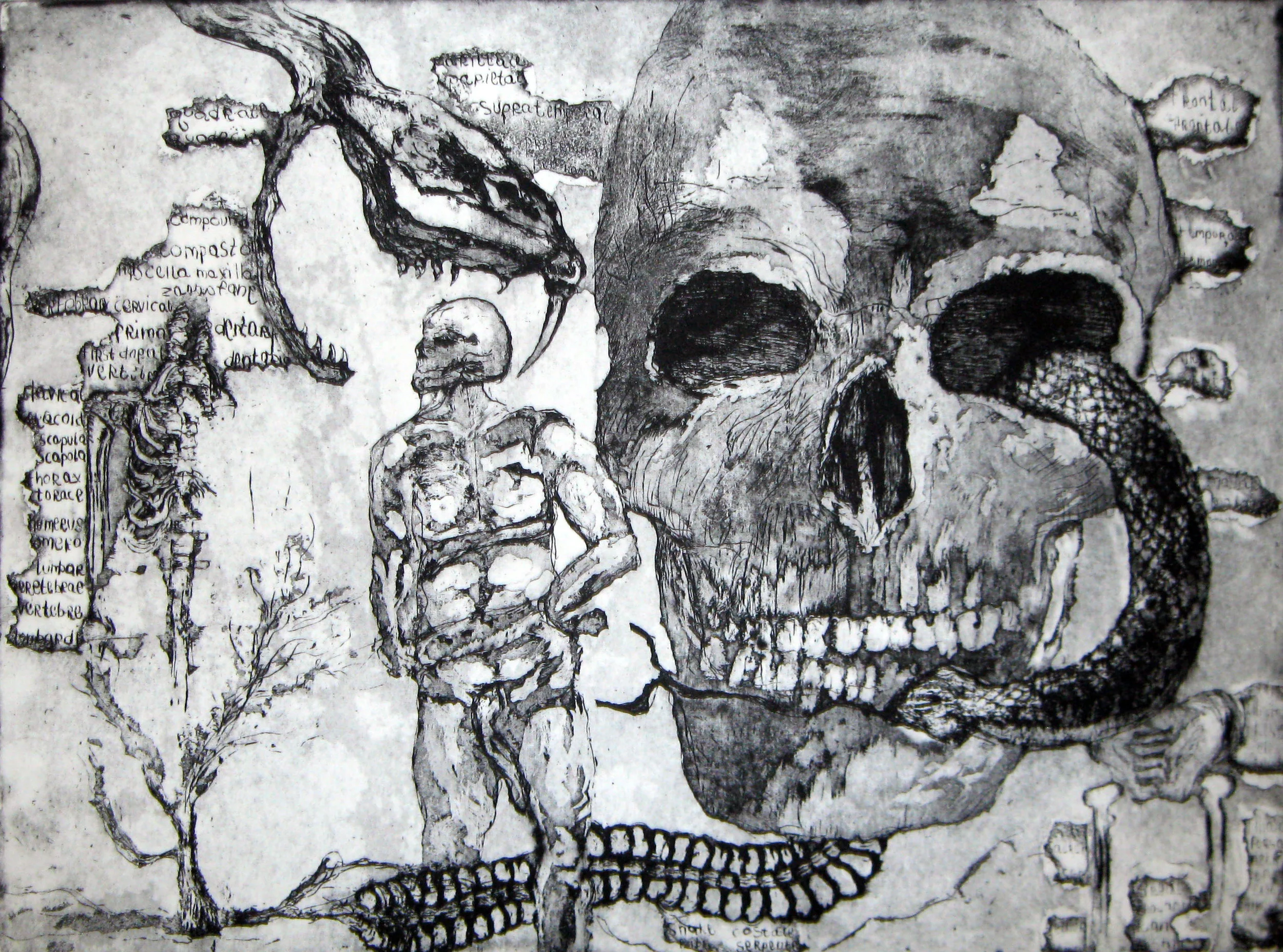 arriana_etching.jpg