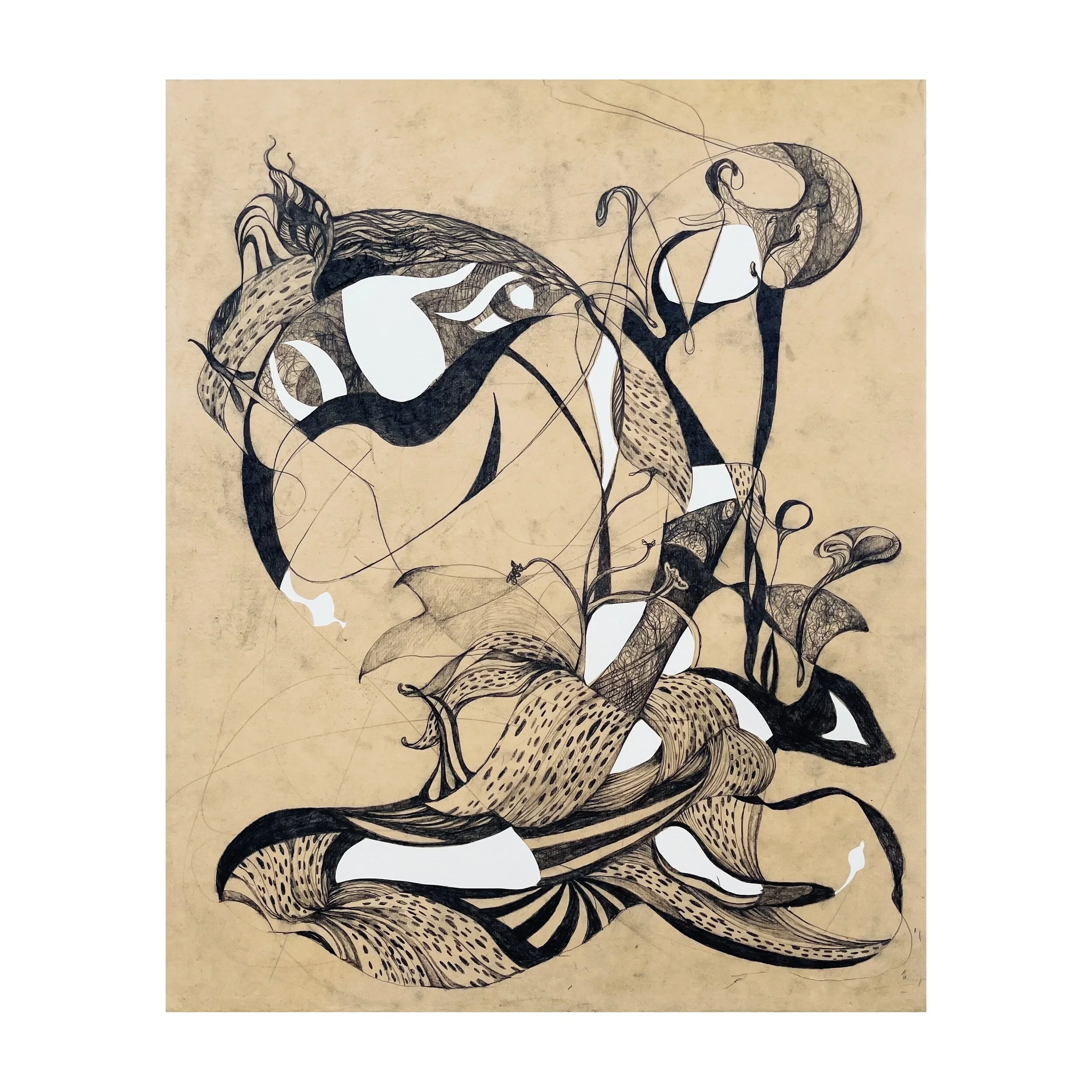 FullSizeRender 9.jpeg