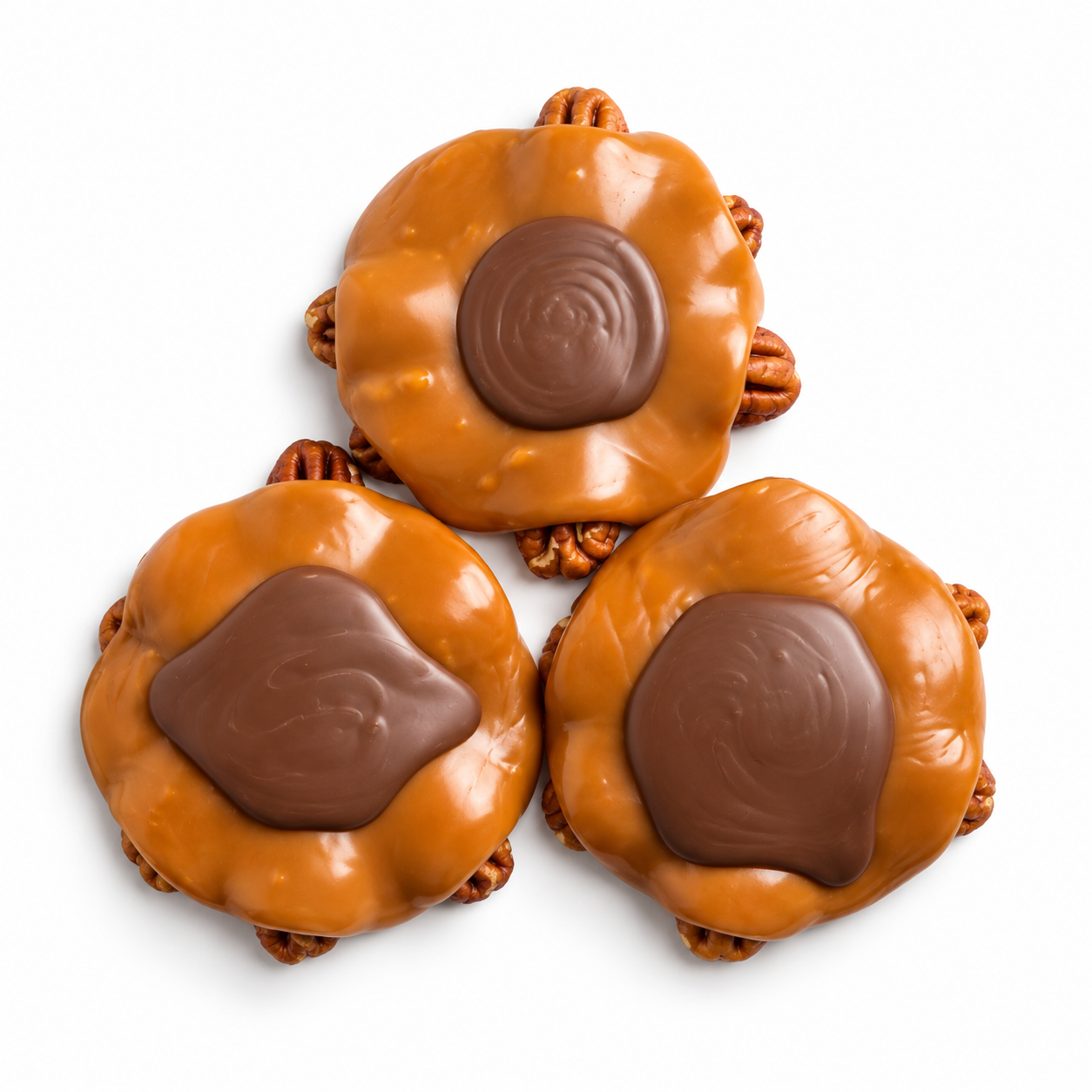 Milk Chocolate Turtle (3)
