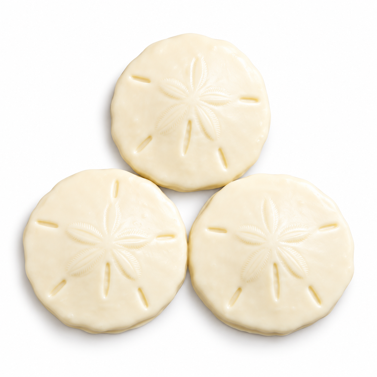 Mallery Street White Chocolate Sand Dollar (3)