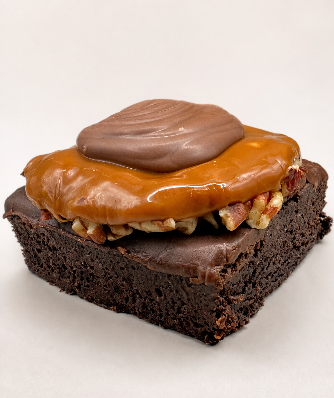 Turtle Brownie