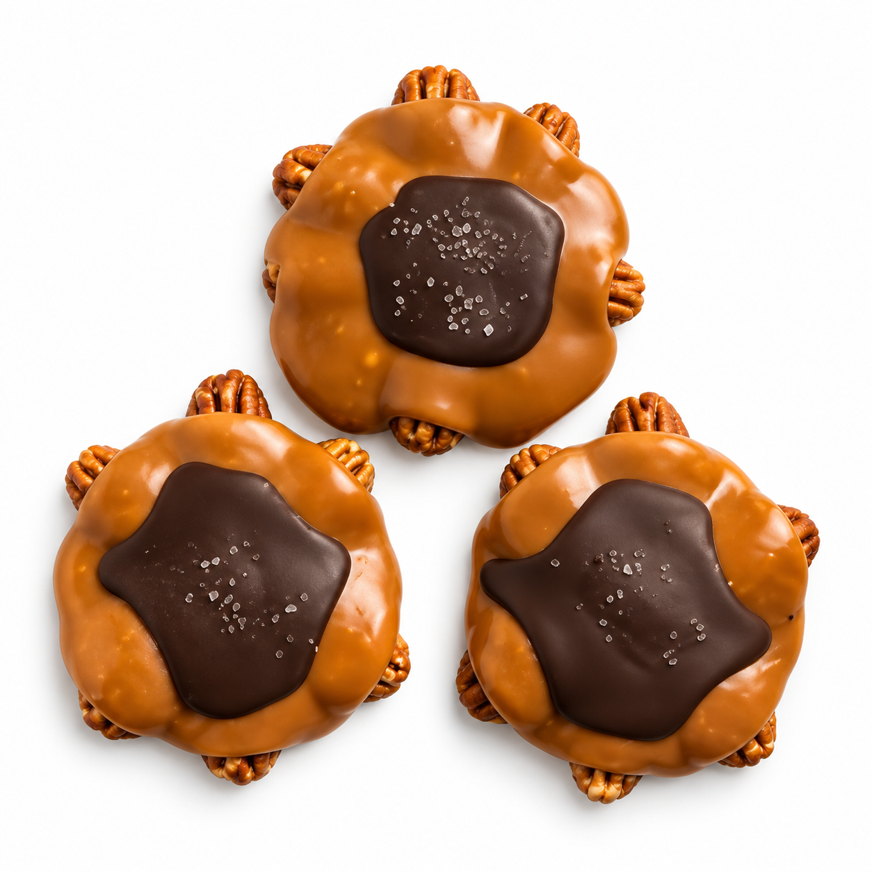 Dark Chocolate Turtle (3)