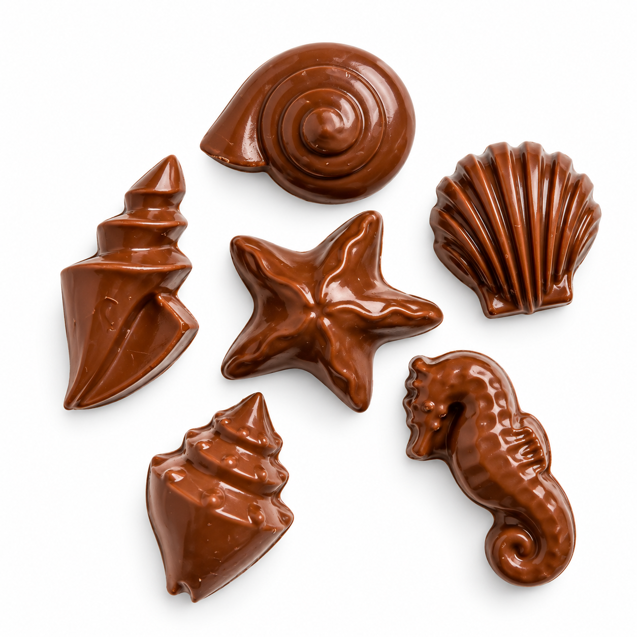 Mallery Street Chocolate Seashells (3 packs of 2 Seashells)
