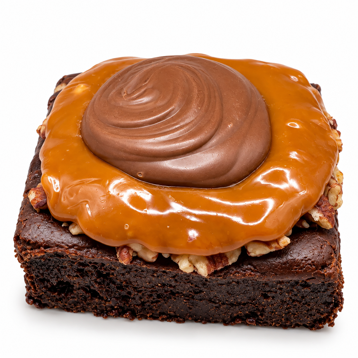 Turtle Brownie