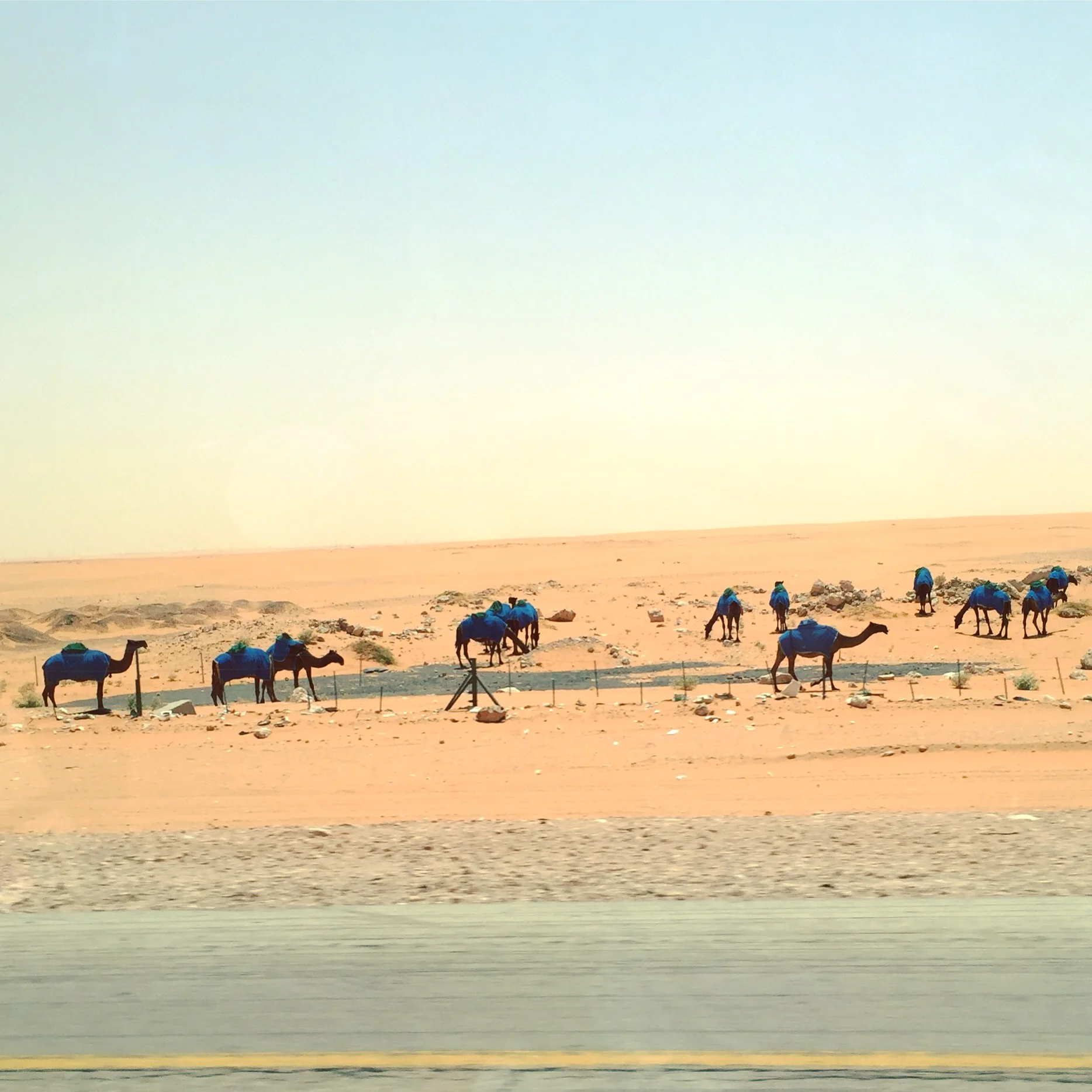 And So Our Middle East Travels Begin