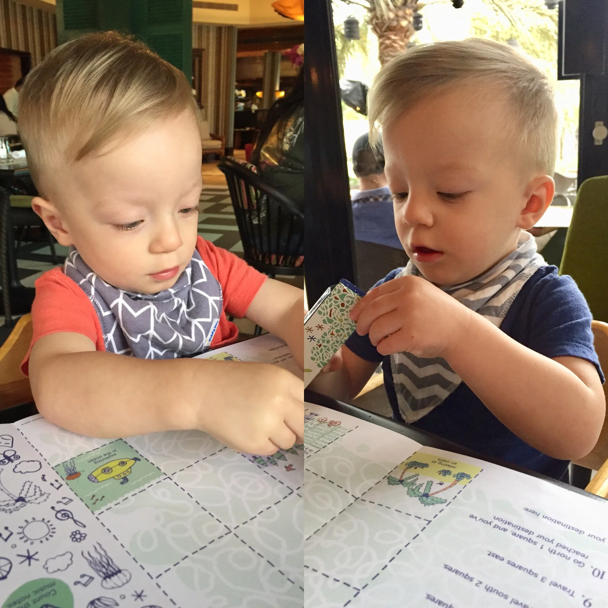 Where Did My Babies Go?