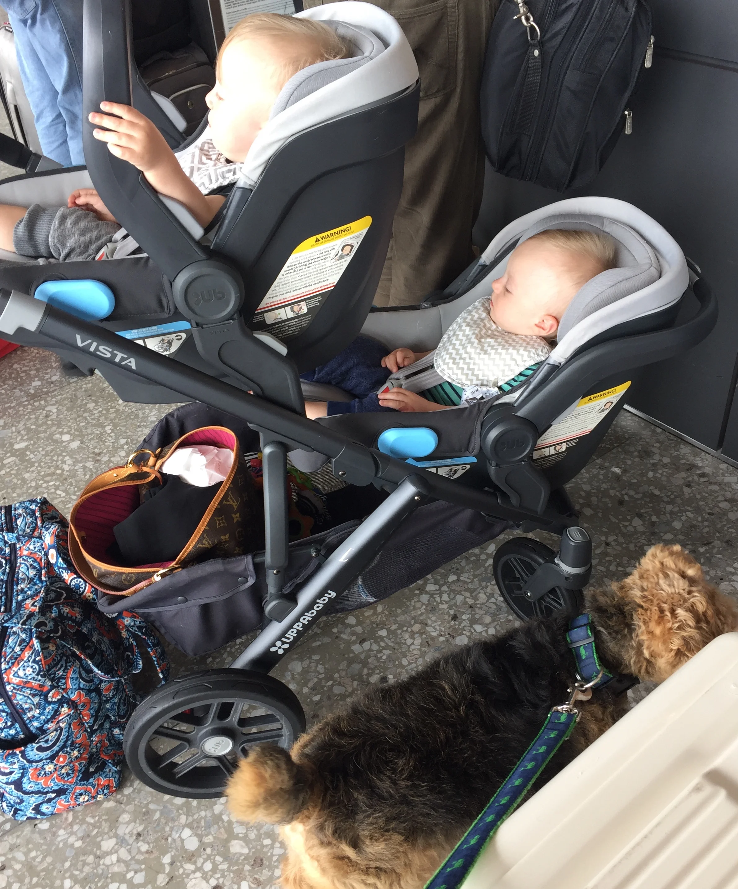 Surviving An International Move...With Kidsā¦And A Dog