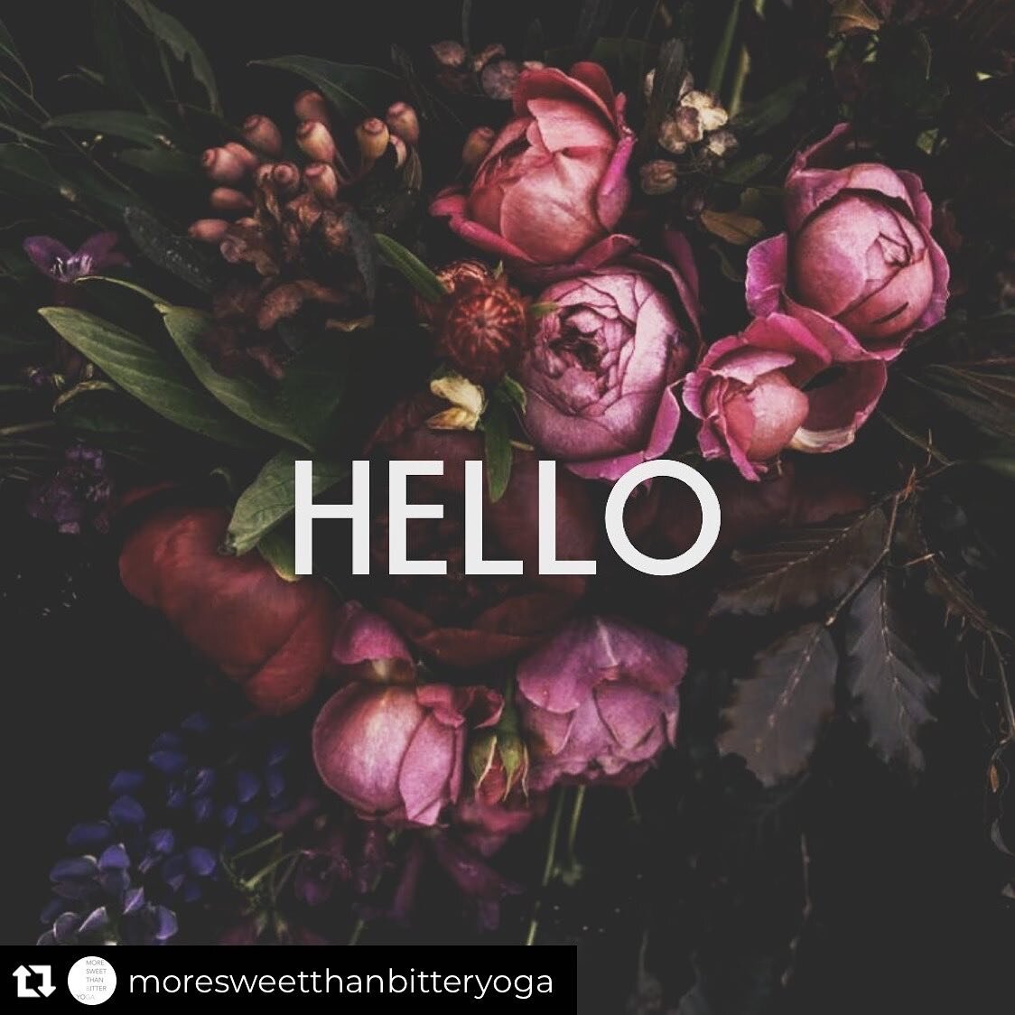 @moresweetthanbitteryoga is official! Inviting you all to join me on this journey and maybe start one of your own. 📿🧘🏻&zwj;♀️💜
.
.
.
👋🏼 Hello, welcome and thank you so much for your patience. I gave myself a bit of leniency after getting my cer