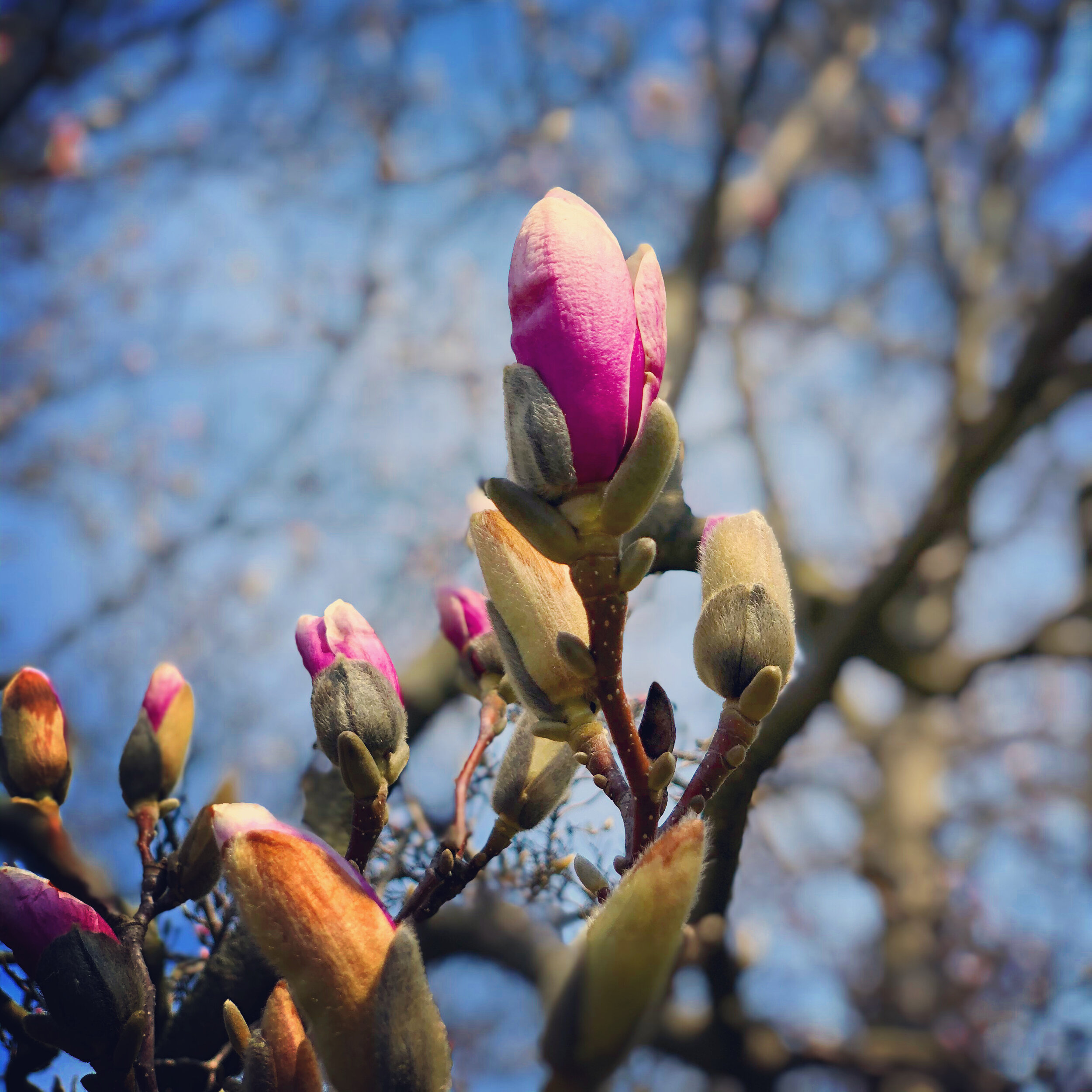 AA3178B5-4C36-4170-B2DB-DB1623CAB295 2.JPG