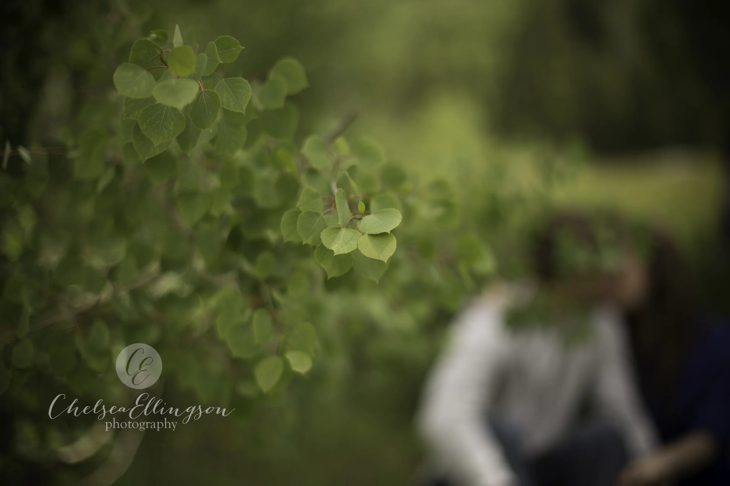 IMG_0526-Edit.jpg