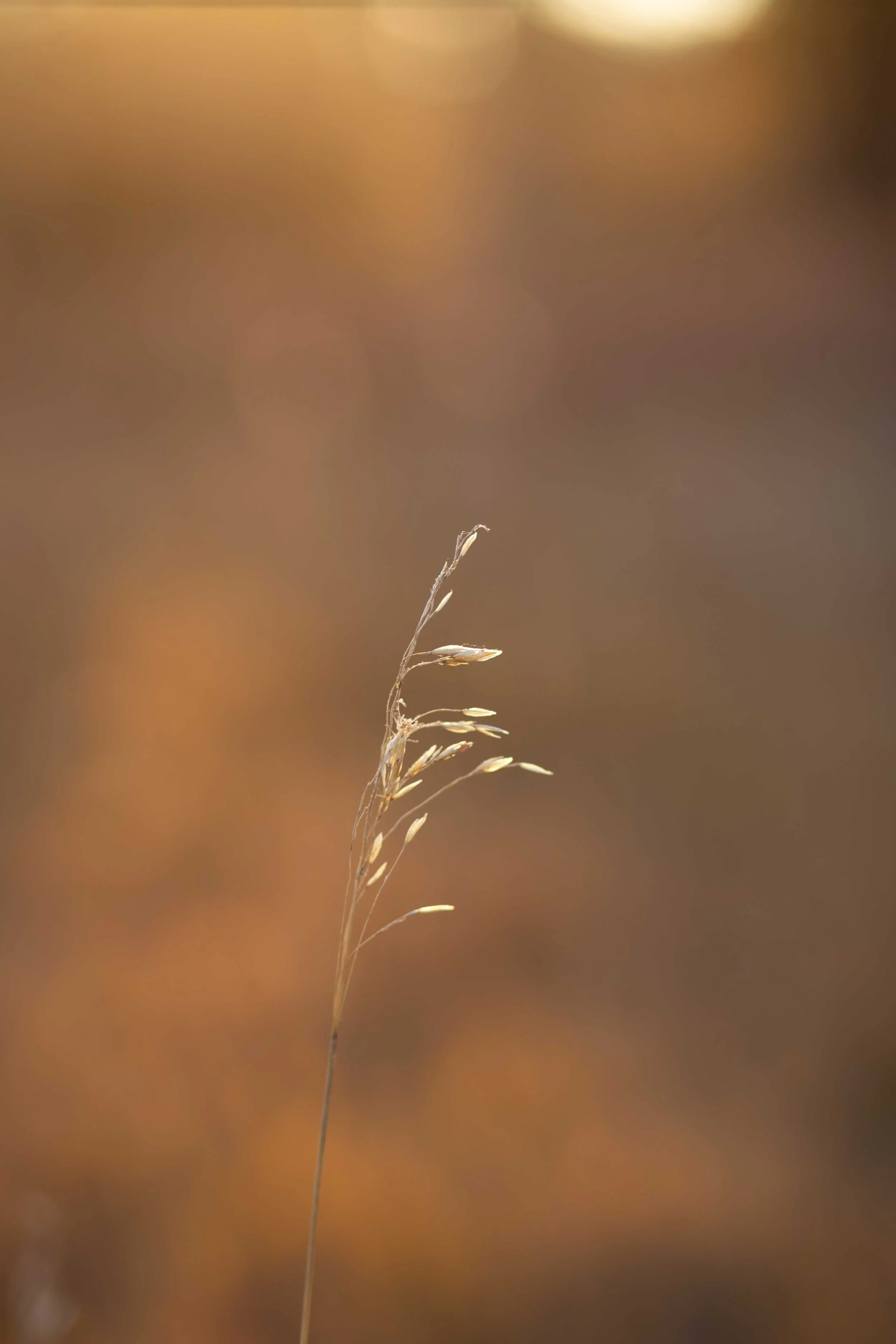 IMG_9619.jpg