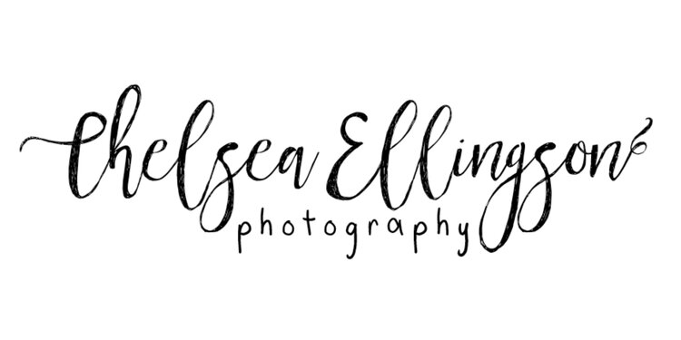 Chelsea Ellingson Photography