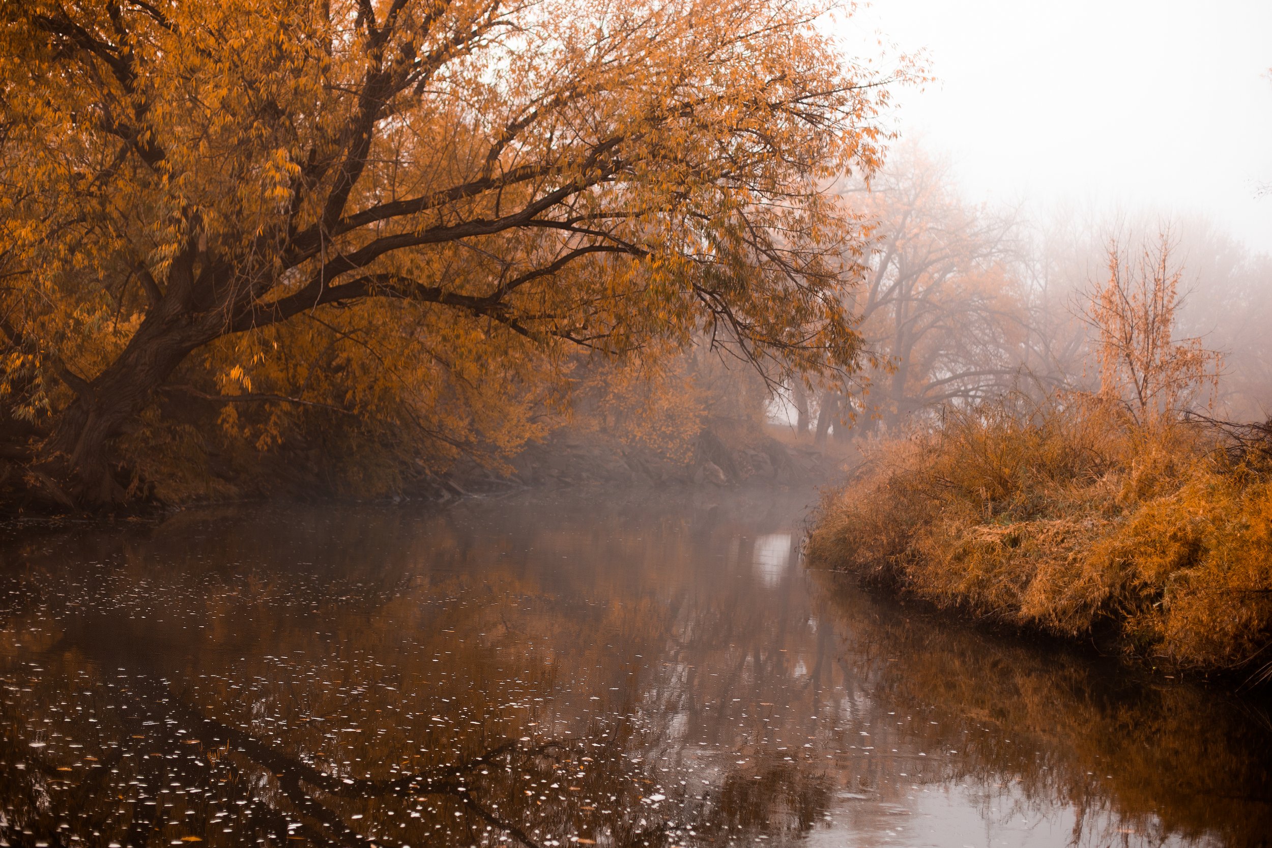 IMG_9767-Edit copy-2.jpg