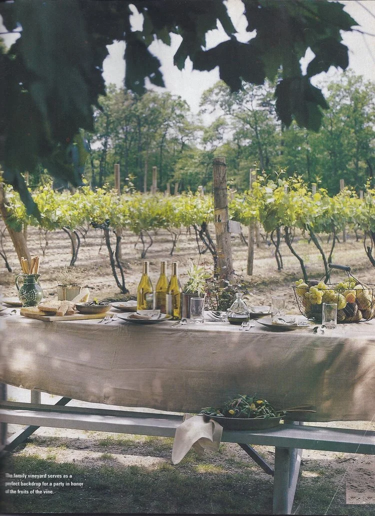 A Picnic at Loughlin Vineyard