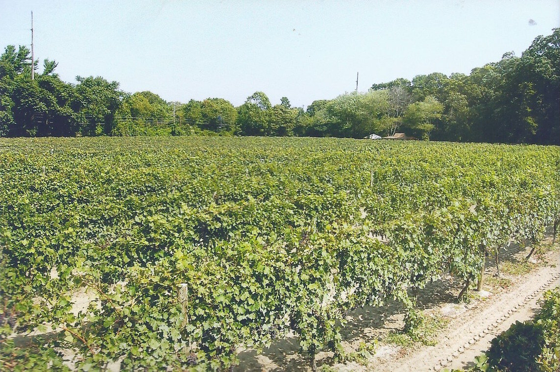 Scan 10.jpeg