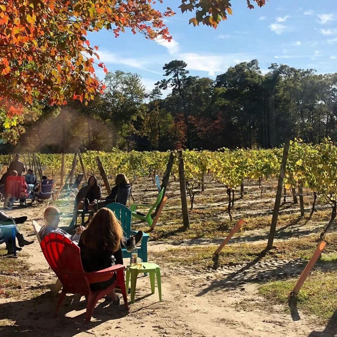 Our Story — Loughlin Vineyard