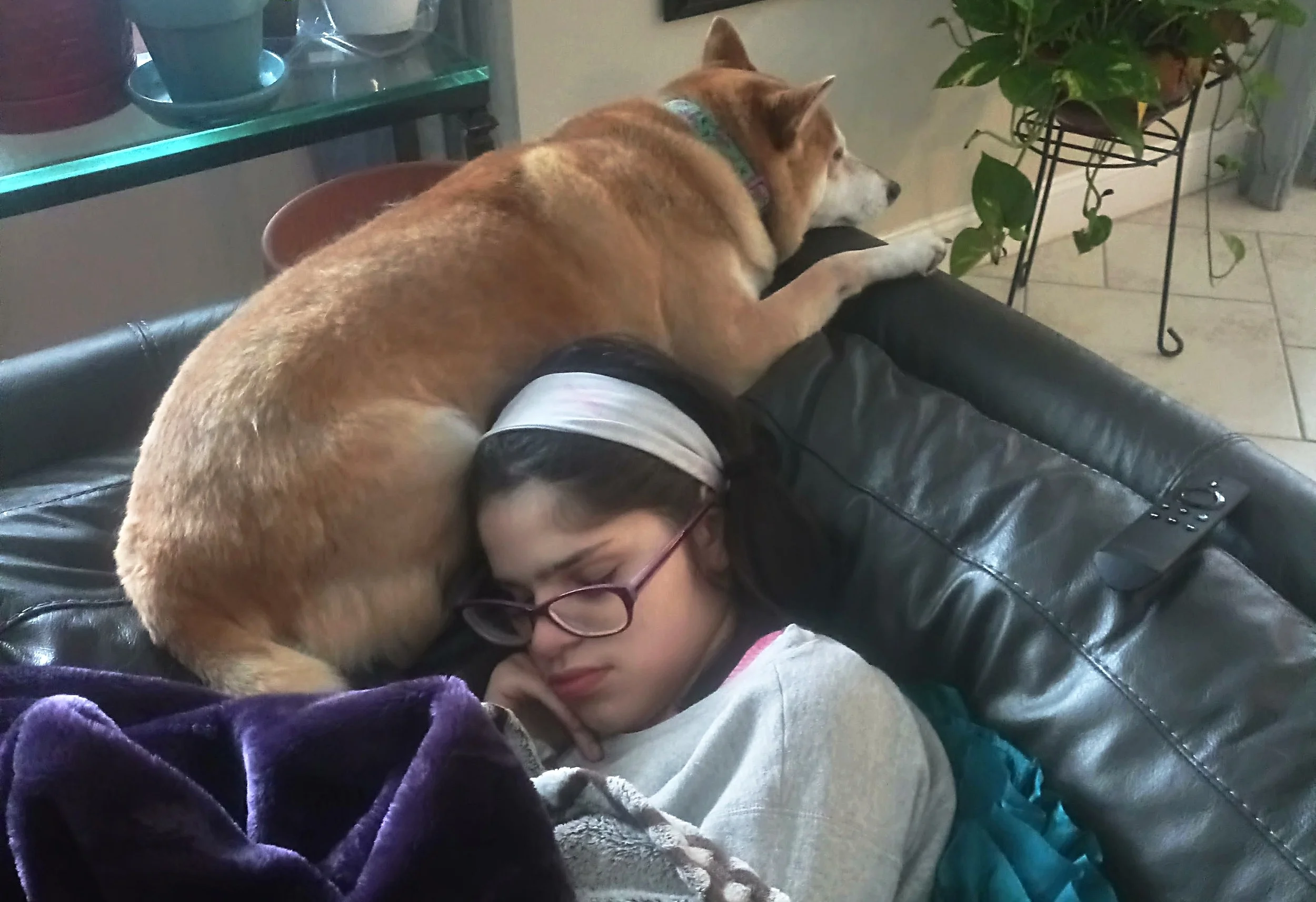  Sofia and Hana (family pet)