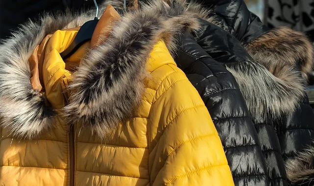 fur-3117033_640.jpg