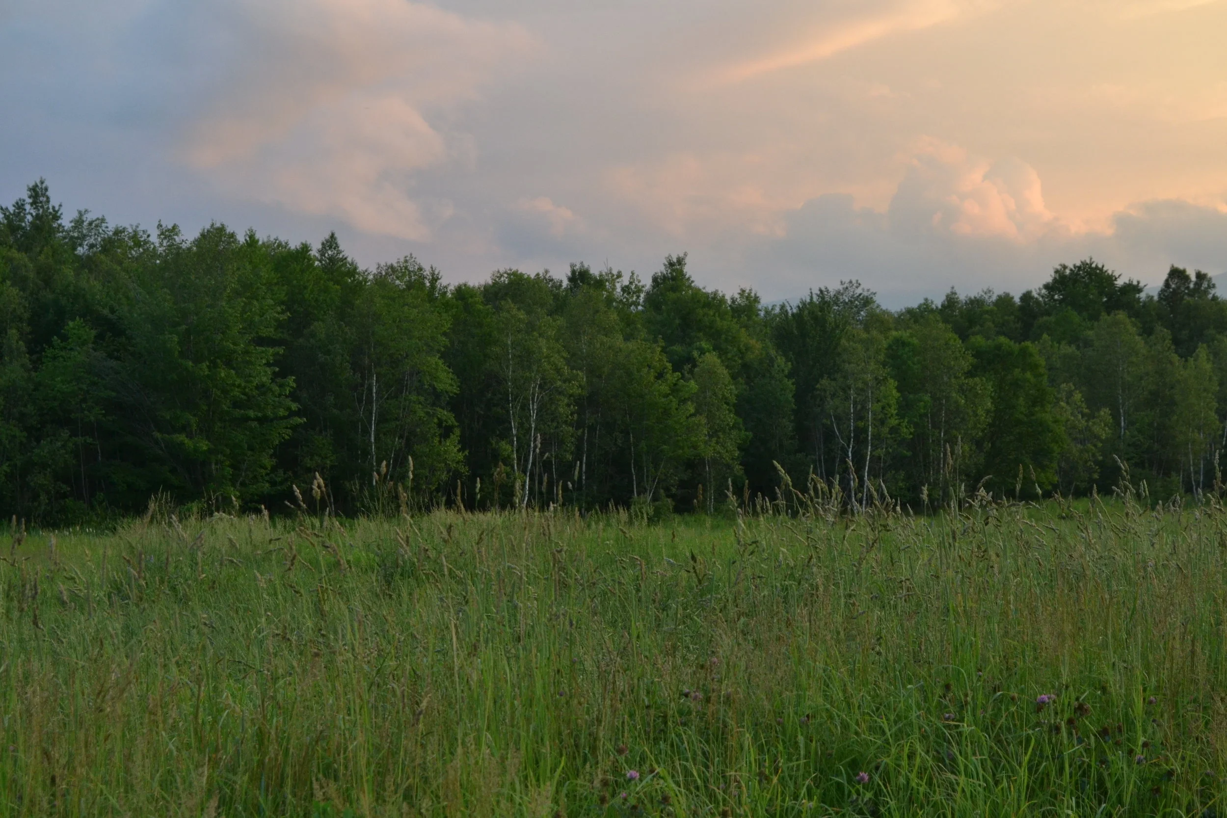 3 Night Fast in the Catskill Mountains 